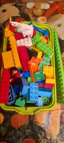 Lotti lego duplo sfusi - lotti,